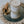 Load image into Gallery viewer, Palo Santo