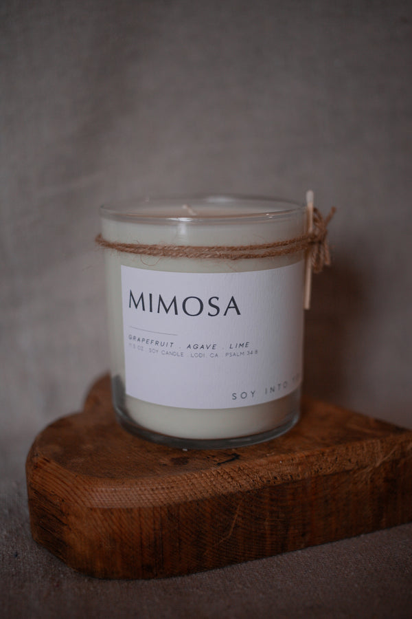 Mimosa
