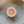 Load image into Gallery viewer, Secret Message