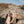 Load image into Gallery viewer, Dillon Beach
