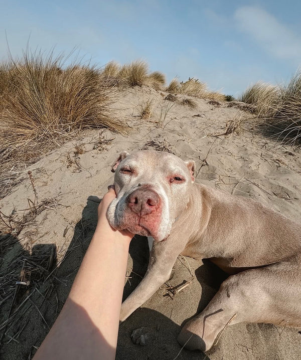 Dillon Beach