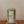 Load image into Gallery viewer, Matcha Milk *pre-order*
