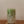 Load image into Gallery viewer, Matcha Milk *pre-order*
