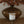 Load image into Gallery viewer, Main Street
